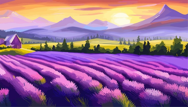 Lavender field vector illustration sunset lavender field violet background france provence spring