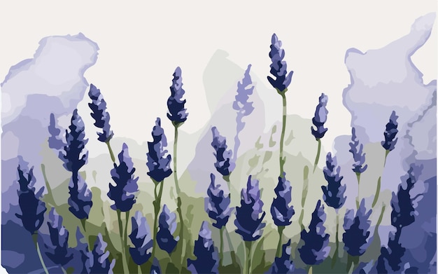 Vector lavender flower art illustration