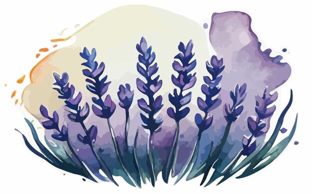 Vector lavender flower art illustration