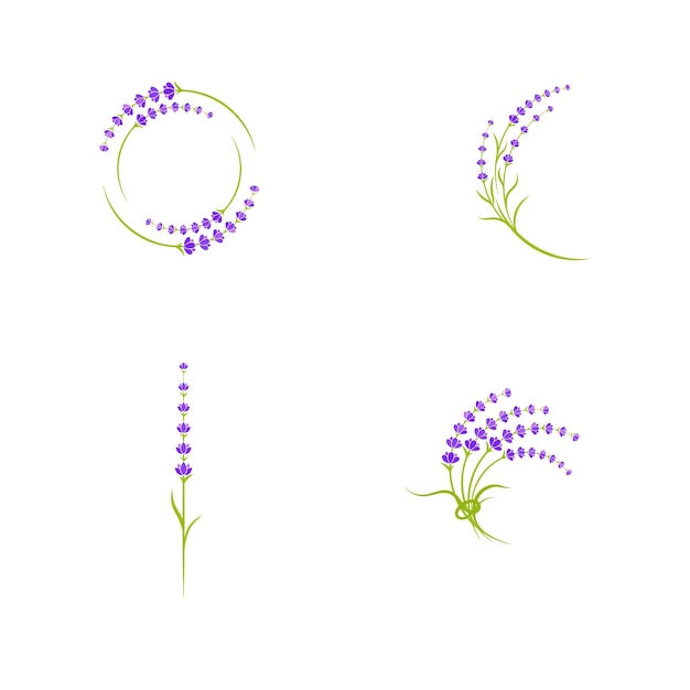 Lavender flower vector icon illustration