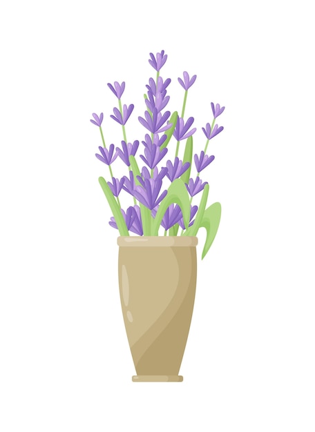 Lavender flowers in a ceramic pot in a modern style indoor plants in a clay pot gardening