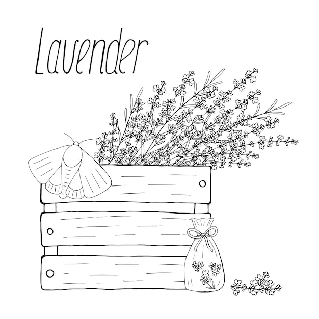 Цветы лаванды в деревянной коробке Векторная ручная композиция с мотыльком и саше