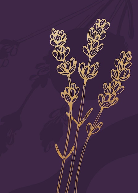 Lavender Hand Painted Illustrations for Wall Decoration minimalist flower in sketch style