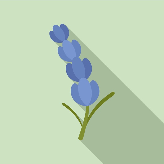 Lavender icon Flat illustration of lavender vector icon for web design