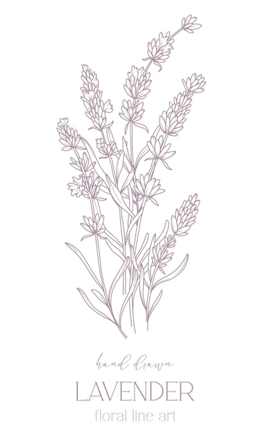 Vector lavender line drawing black and white floral bouquets flower coloring page