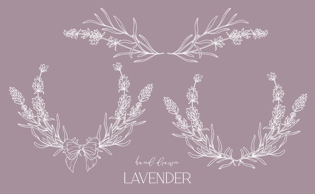 Lavender Line Drawing Black and white Floral Frames Floral Line Art