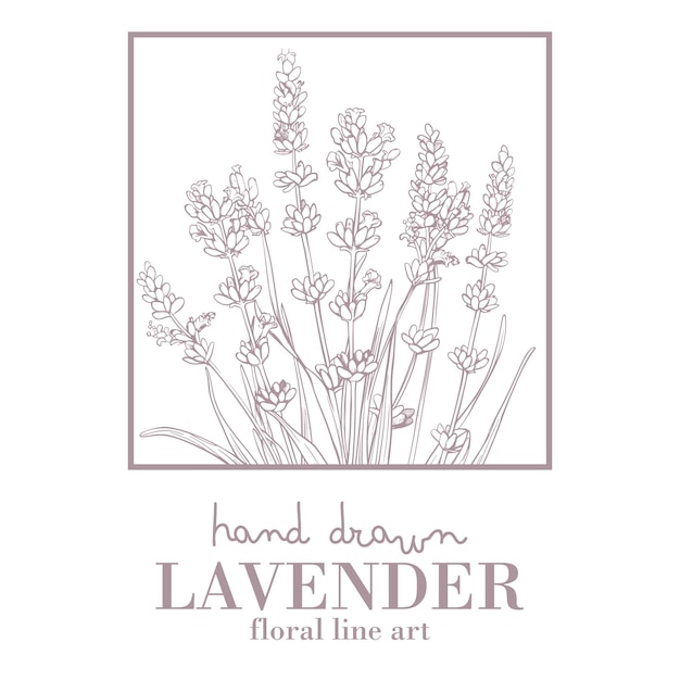 lavender line drawing floral bouquets vector