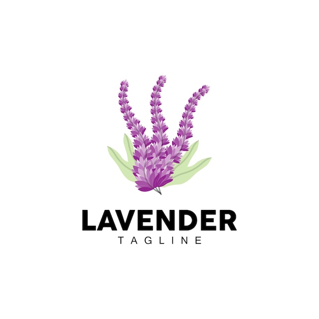Lavender Logo Hand Drawn Wedding Plant Design Agriculture Vector Symbol Illustration Template Icon