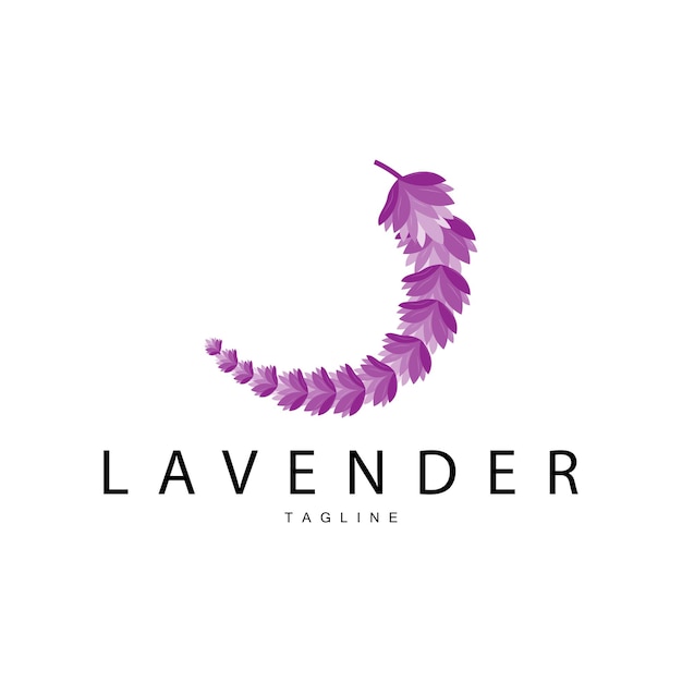 Lavender Logo Hand Drawn Wedding Plant Design Vector Lavender Plant Perfume Illustration Design