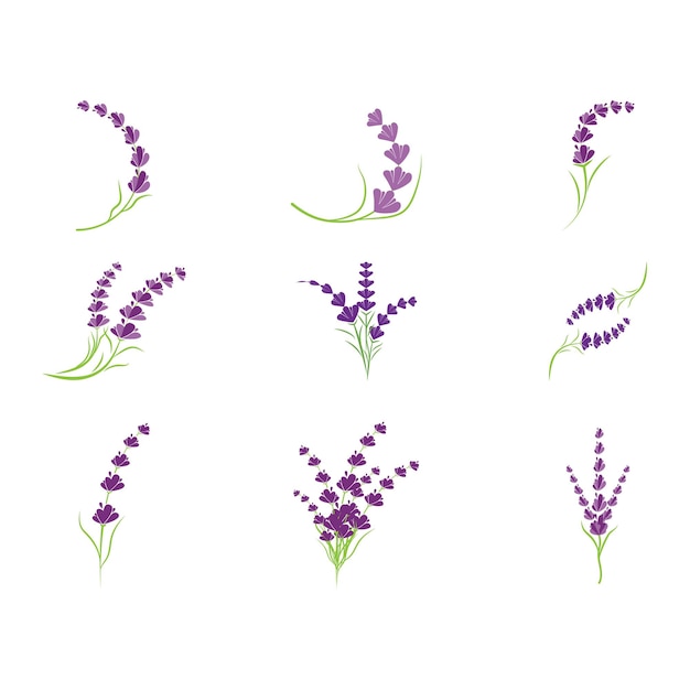 Vector lavender logo template vector symbol nature