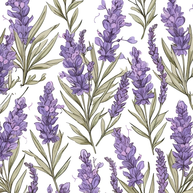 Lavender pattern Vector illustration design