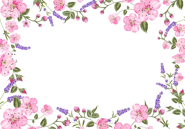 Lavender provence frame background.