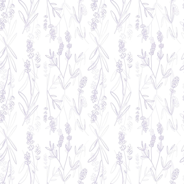 Lavender purple vector seamless pattern. Violet lavender hand draw background.