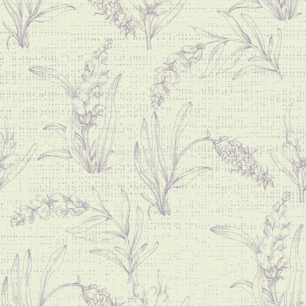 Lavender seamless pattern