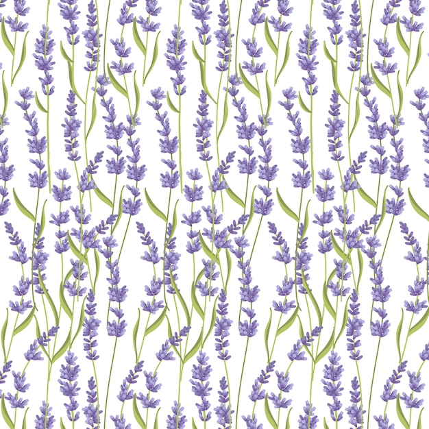 Vector lavender seamless pattern