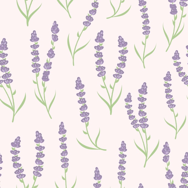 Vector lavender seamless patternvector background lavender flower