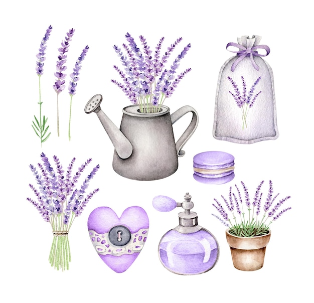 Vector lavender set