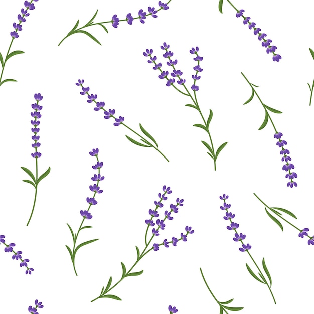 Lavender sprigs vector seamless pattern