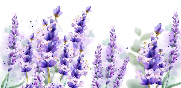 Lavender watercolor background banner