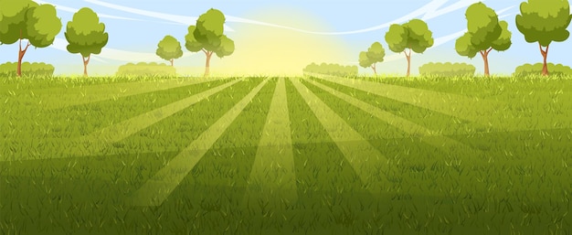 Vector lawn background landscape vector