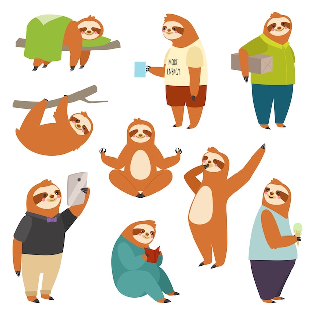 Laziness sloth animal character different human pose lazy cartoon kawaii wild jungle mammal flat design  illustration people life role