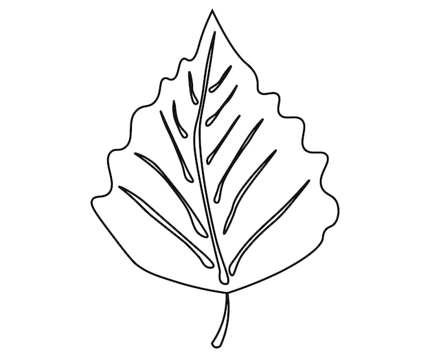 Vector leaf 3