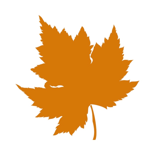 A leaf of autumn leaves has an orange colorm,A leaf of autumn leaves has an orange color