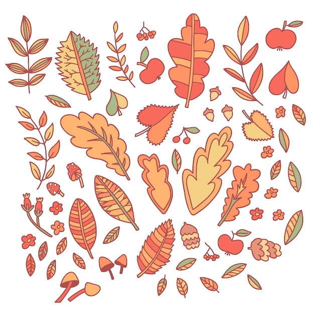 Leaf for autumn scrapbooking