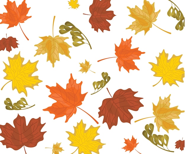 Premium Vector | Leaf autumn