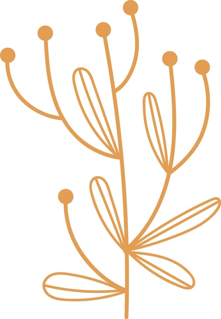 Leaf Branch Doodle