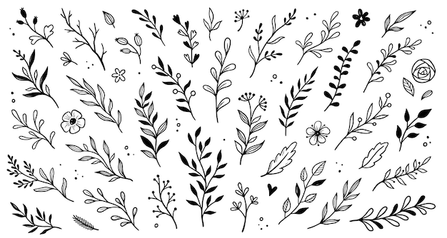 Vector leaf branch wreath rustic set hand drawn sketch doodle style leaf flourish branch laurel flower for border divider design element vector illustration