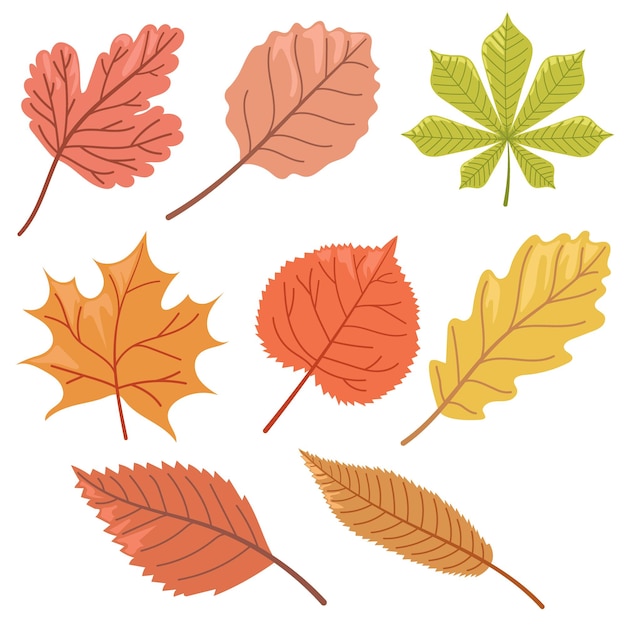 Leaf cartoon in flat style