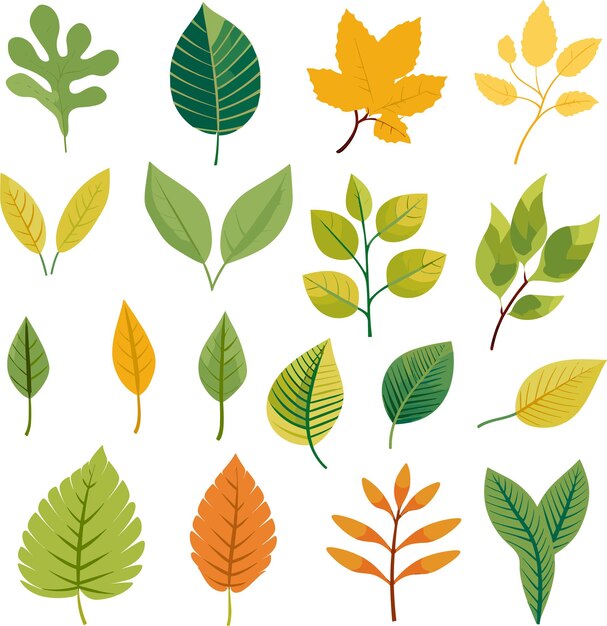 벡터 ⁇ 색 바탕에 있는 잎 디자인 요소
