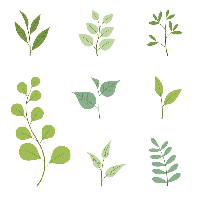 Leaf design elements set