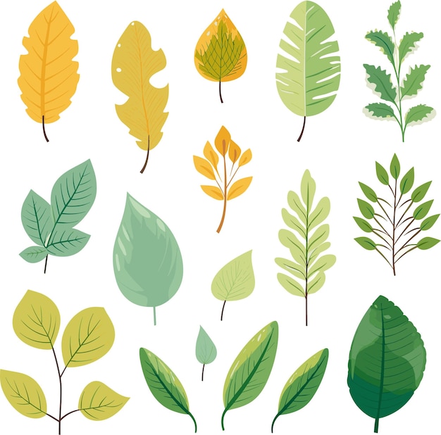 Vettore elementi di disegno delle foglie su sfondo bianco