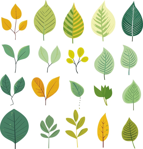 Vector leaf design elements on white background