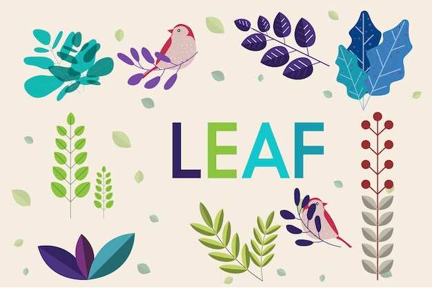 Leaf design vector illustration