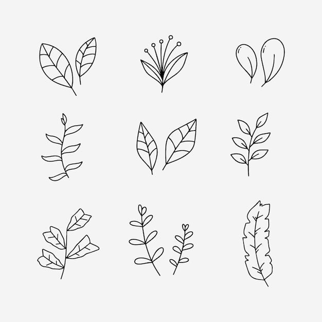 Leaf doodle line vector illustration