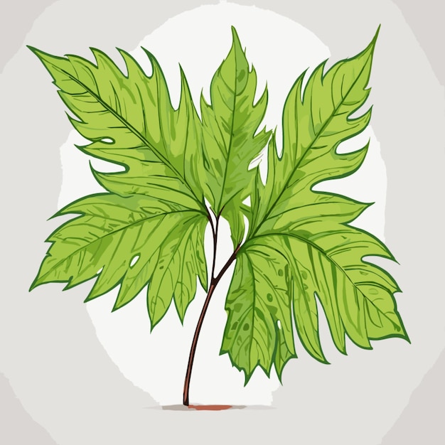 Leaf drawing vector