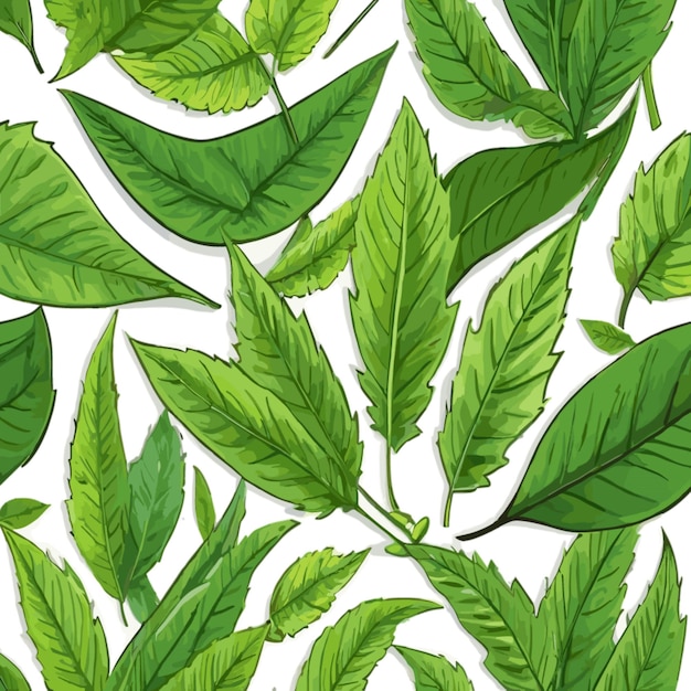 Vector leaf drawing