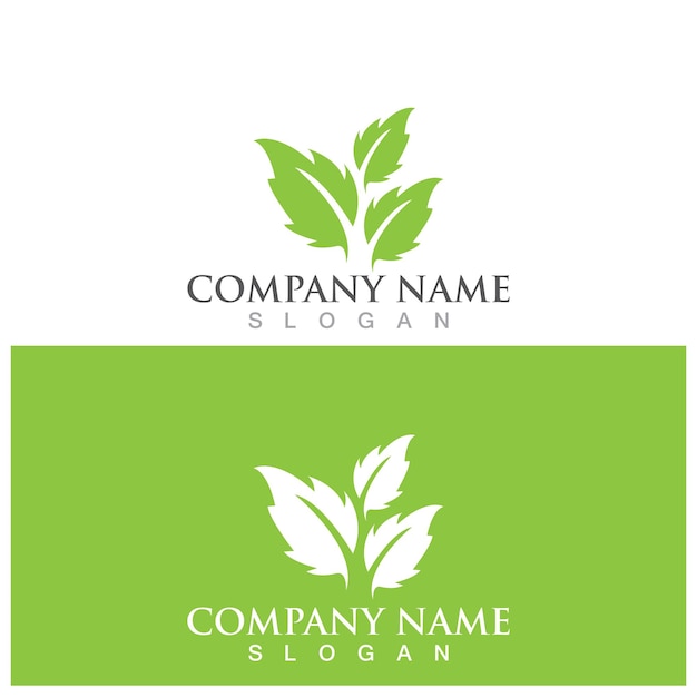 Leaf ecology logo and vector template