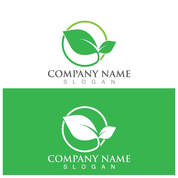 Leaf ecology logo and vector template