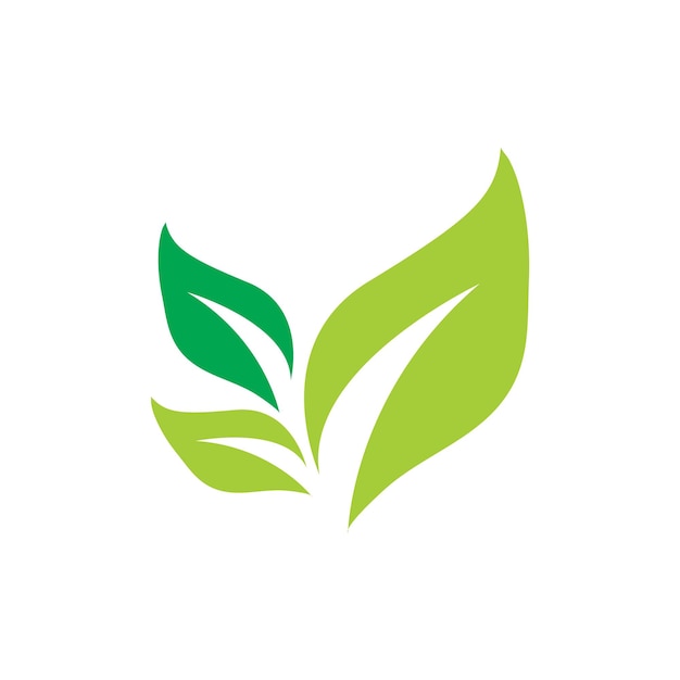 Leaf ecology logo and vector template