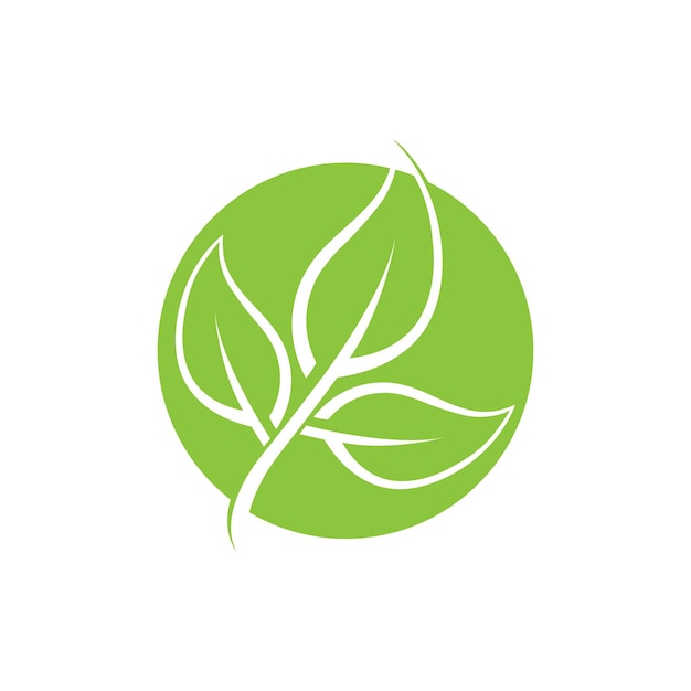 Vector leaf ecology logo and vector template