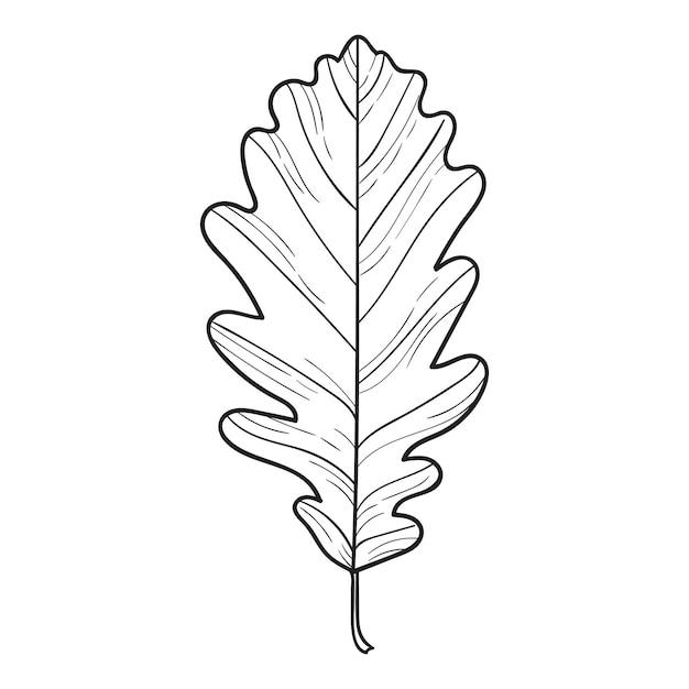 Vector leaf element 5