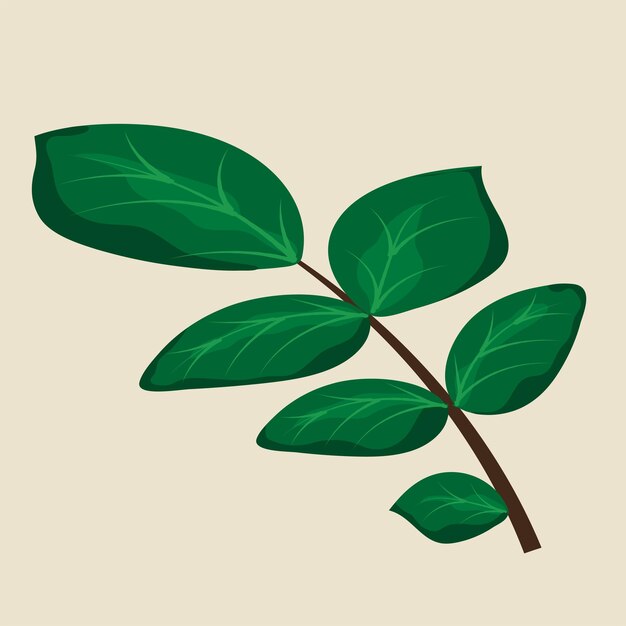 Vector leaf element vector illustration