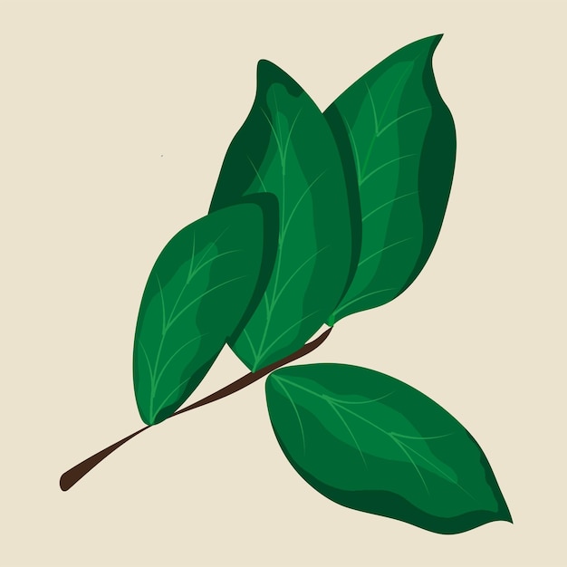 Vector leaf element vector illustration