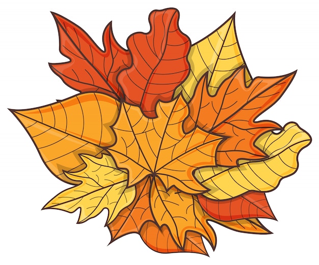 Vector leaf fall  cartoon  illustration