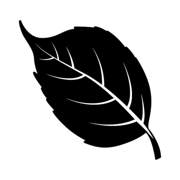 Leaf fall icon vector on trendy design