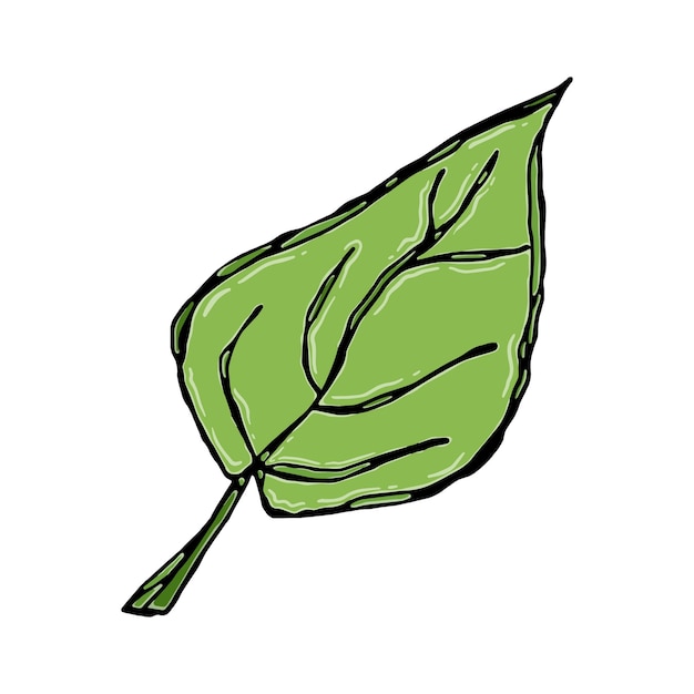잎 타락한 식물 자연 유기 자연 낙서 선형 만화